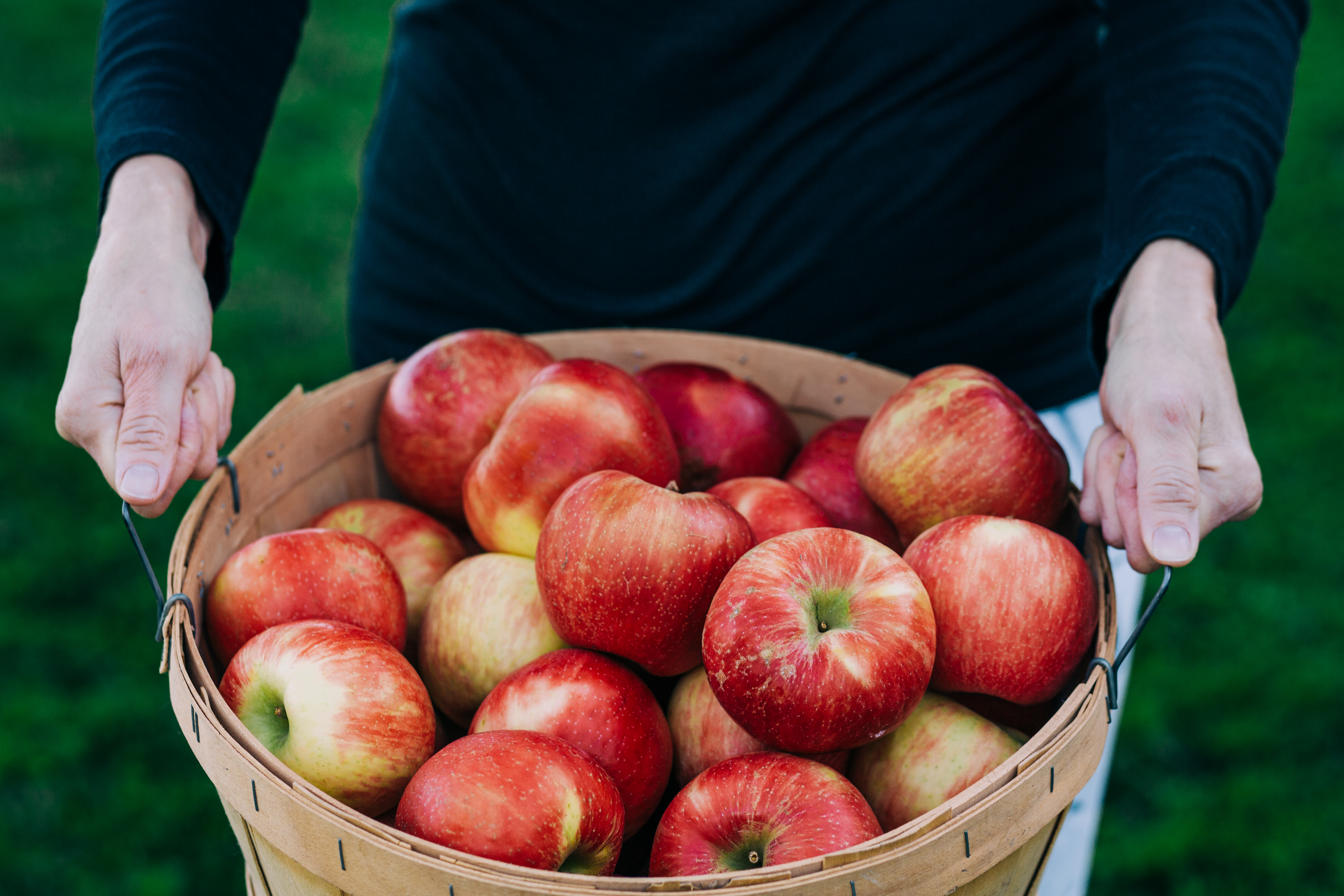 orchard