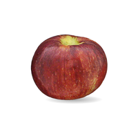 cortland apple