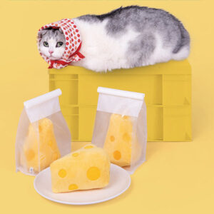 Cheese cat sitting around blocks of cheese