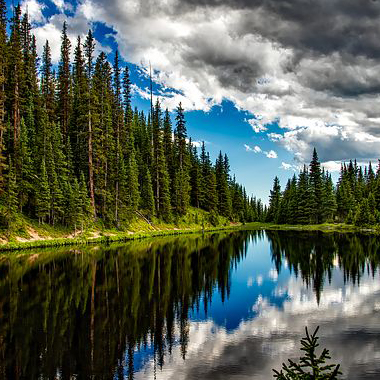 lake and trees