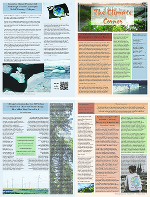 Newsletter
